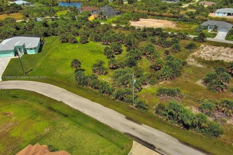 Land in Port Charlotte, Florida № 2164347 - photo 7