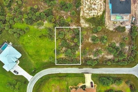 Land in Port Charlotte, Florida № 2164347