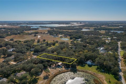 Land in Lake Wales, Florida № 1733473 - photo 10