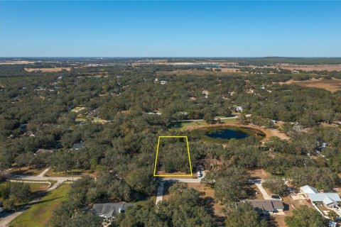 Land in Lake Wales, Florida № 1733473 - photo 1
