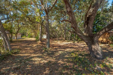 Land in Lake Wales, Florida № 1733473 - photo 6