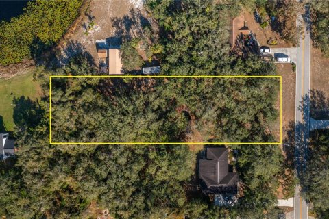 Land in Lake Wales, Florida № 1733473 - photo 13