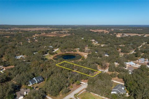 Land in Lake Wales, Florida № 1733473 - photo 2