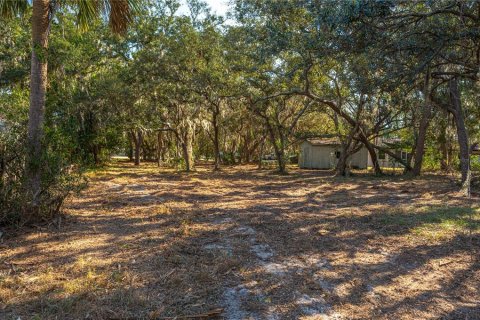 Land in Lake Wales, Florida № 1733473 - photo 8