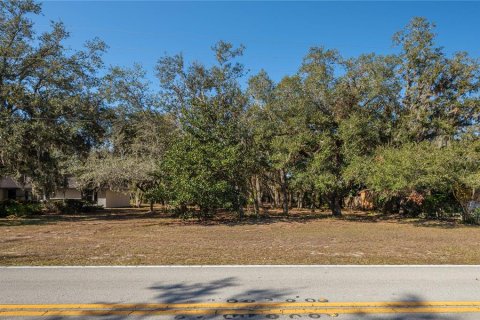 Land in Lake Wales, Florida № 1733473 - photo 3