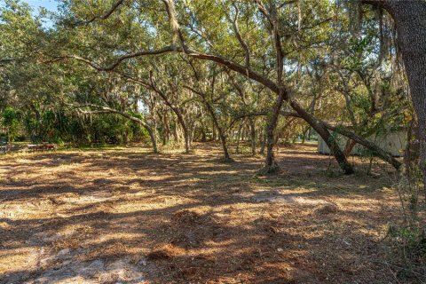 Land in Lake Wales, Florida № 1733473 - photo 5