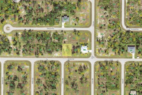 Land in Placida, Florida № 2229050 - photo 2