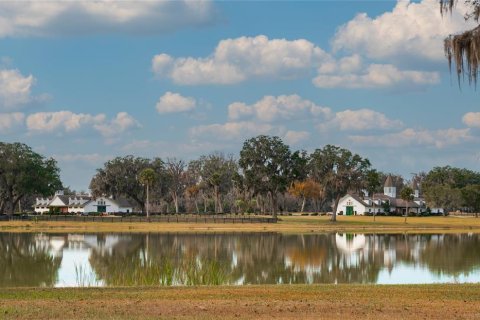 Land in Summerfield, Florida № 1806823 - photo 13