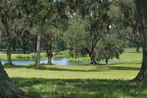 Terrain à vendre à Summerfield, Floride № 1806823 - photo 6