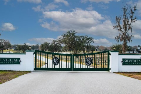Land in Summerfield, Florida № 1806823 - photo 14