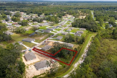 Land in Kissimmee, Florida № 2160848 - photo 3