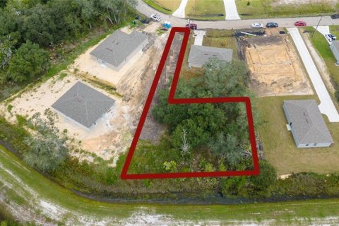 Land in Kissimmee, Florida № 2160848 - photo 9