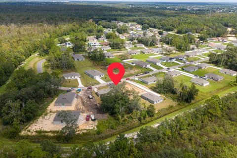 Land in Kissimmee, Florida № 2160848 - photo 2