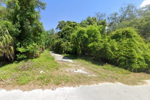 Land in Hudson, Florida № 2368750
