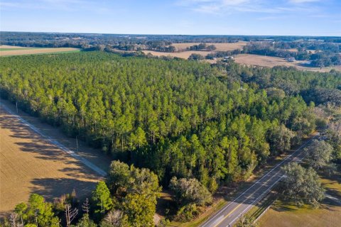 Land in Brooksville, Florida № 1548818 - photo 9