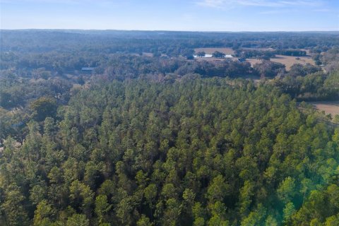 Land in Brooksville, Florida № 1548818 - photo 7