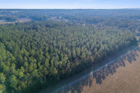 Land in Brooksville, Florida № 1548818 - photo 8
