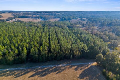 Land in Brooksville, Florida № 1548818 - photo 1