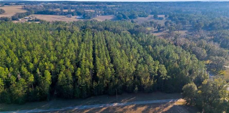 Land in Brooksville, Florida № 1548818