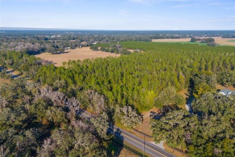 Land in Brooksville, Florida № 1548818 - photo 4