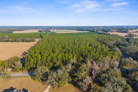 Land in Brooksville, Florida № 1548818 - photo 3
