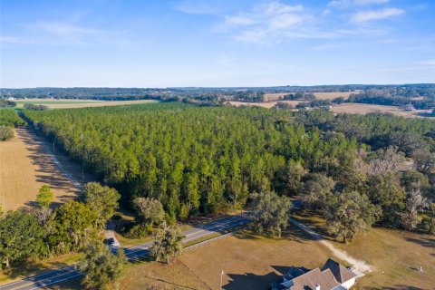 Land in Brooksville, Florida № 1548818 - photo 2