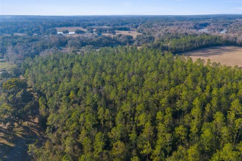 Land in Brooksville, Florida № 1548818 - photo 6