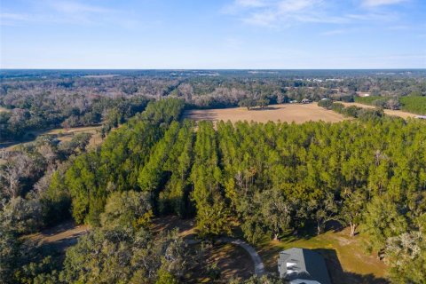 Land in Brooksville, Florida № 1548818 - photo 5