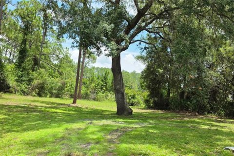 Villa ou maison à vendre à Deltona, Floride: 4 chambres, 205.78 m2 № 2225059 - photo 5