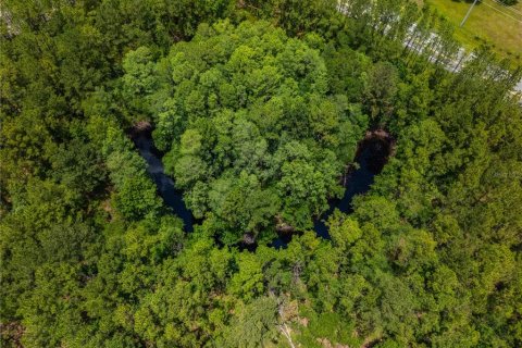Land in Brooker, Florida № 1786068 - photo 1