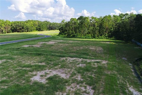 Land in Odessa, Florida № 1853783 - photo 3