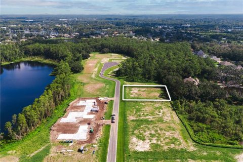Land in Odessa, Florida № 1853783 - photo 8