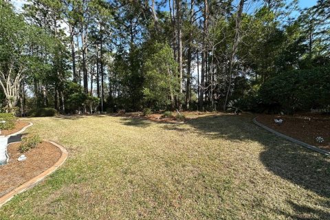 Villa ou maison à vendre à Inverness, Floride: 4 chambres, 222.22 m2 № 1832168 - photo 30