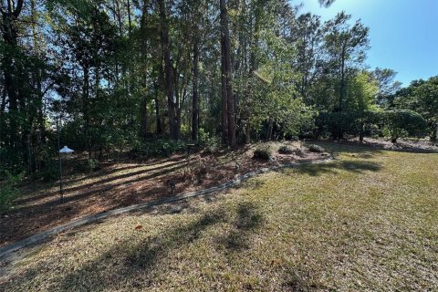 Villa ou maison à vendre à Inverness, Floride: 4 chambres, 222.22 m2 № 1832168 - photo 28