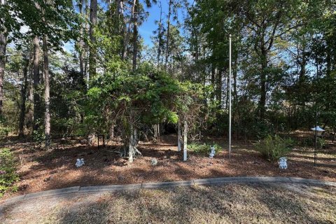 Villa ou maison à vendre à Inverness, Floride: 4 chambres, 222.22 m2 № 1832168 - photo 27