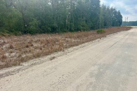 Land in Bell, Florida № 2161832 - photo 2