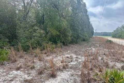 Land in Bell, Florida № 2161832 - photo 4