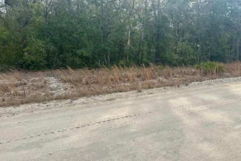 Land in Bell, Florida № 2161832 - photo 11
