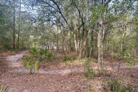 Land in Bell, Florida № 2161832