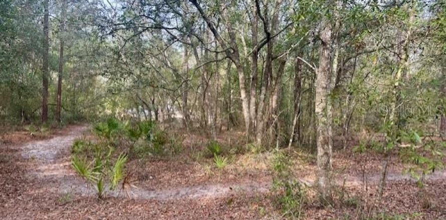 Land in Bell, Florida № 2161832