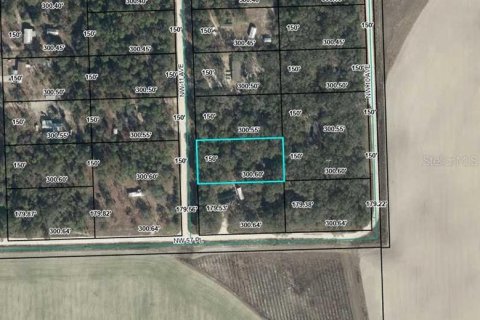 Land in Bell, Florida № 2161832 - photo 3