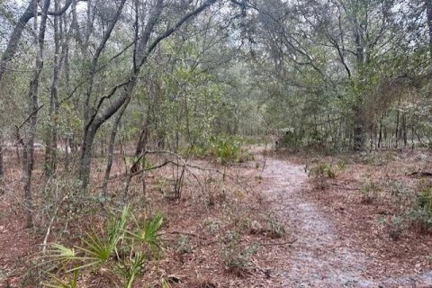 Land in Bell, Florida № 2161832 - photo 10