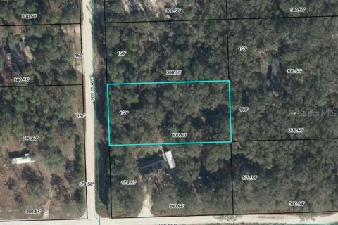 Land in Bell, Florida № 2161832 - photo 12