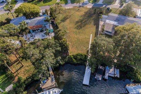 Land in Palm Harbor, Florida № 1719815 - photo 26