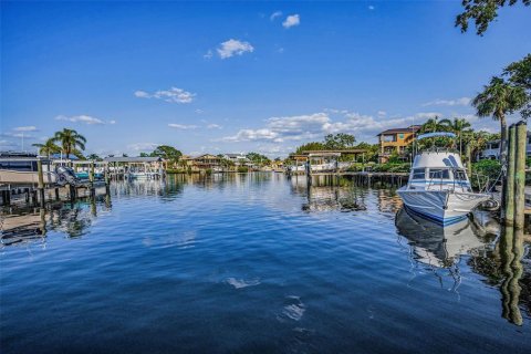 Land in Palm Harbor, Florida № 1719815 - photo 24