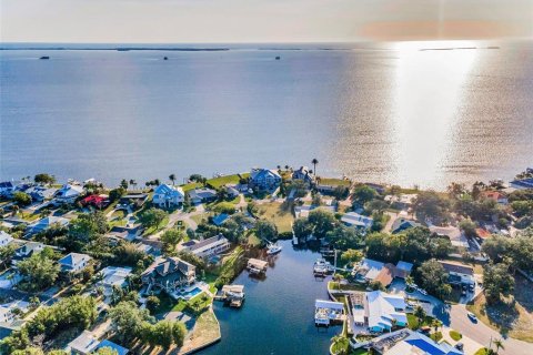 Land in Palm Harbor, Florida № 1719815 - photo 9