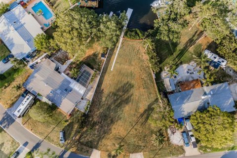Land in Palm Harbor, Florida № 1719815 - photo 11