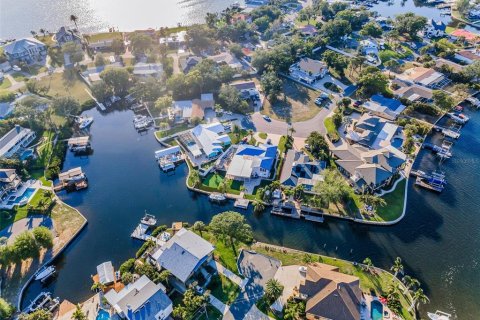 Land in Palm Harbor, Florida № 1719815 - photo 13