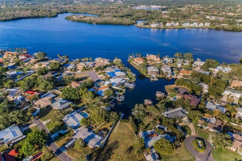 Land in Palm Harbor, Florida № 1719815 - photo 4