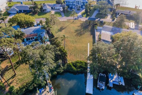 Land in Palm Harbor, Florida № 1719815 - photo 14